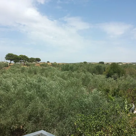 Baglio Il Giovinetto-3
