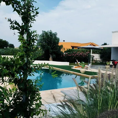 B&B Zagara-2